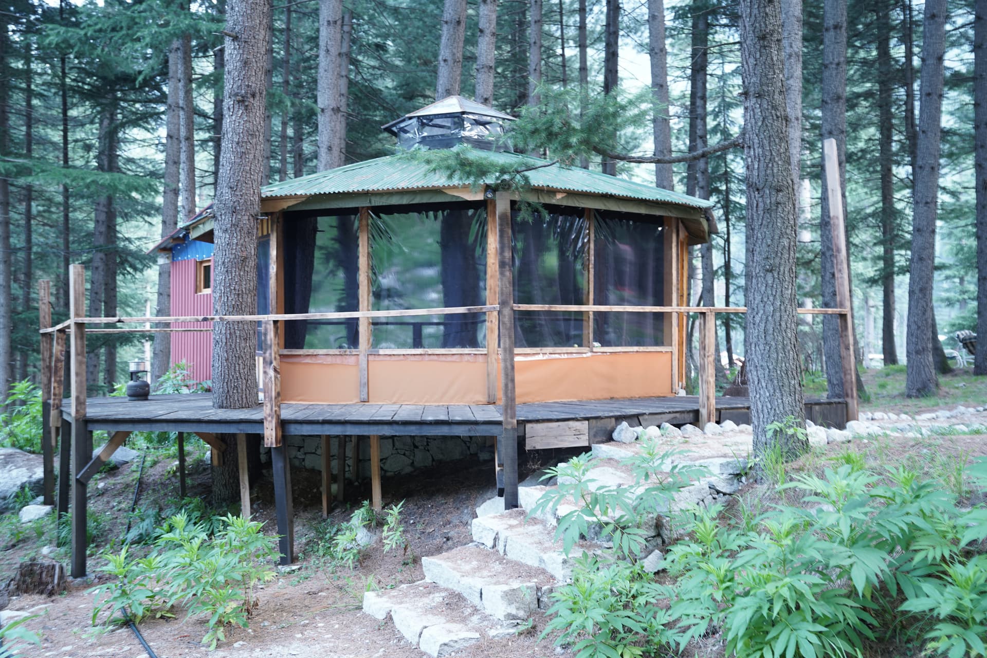 Round yurt-style unit with green roof in forest
