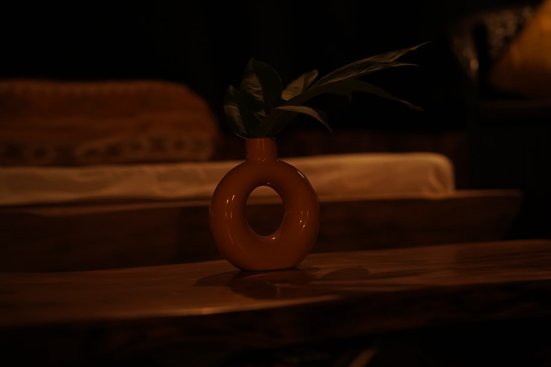 Terracotta circular vase with greenery on wooden surface